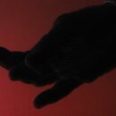 découvrez comment les prix d'un voyage en guyane évoluent en fonction des saisons touristiques pour planifier votre séjour au meilleur rapport qualité-prix.