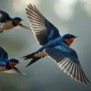 découvrez les vérités et les mythes autour de la vitesse de l'hirondelle, en explorant ses capacités de vol exceptionnelles et ses caractéristiques fascinantes.