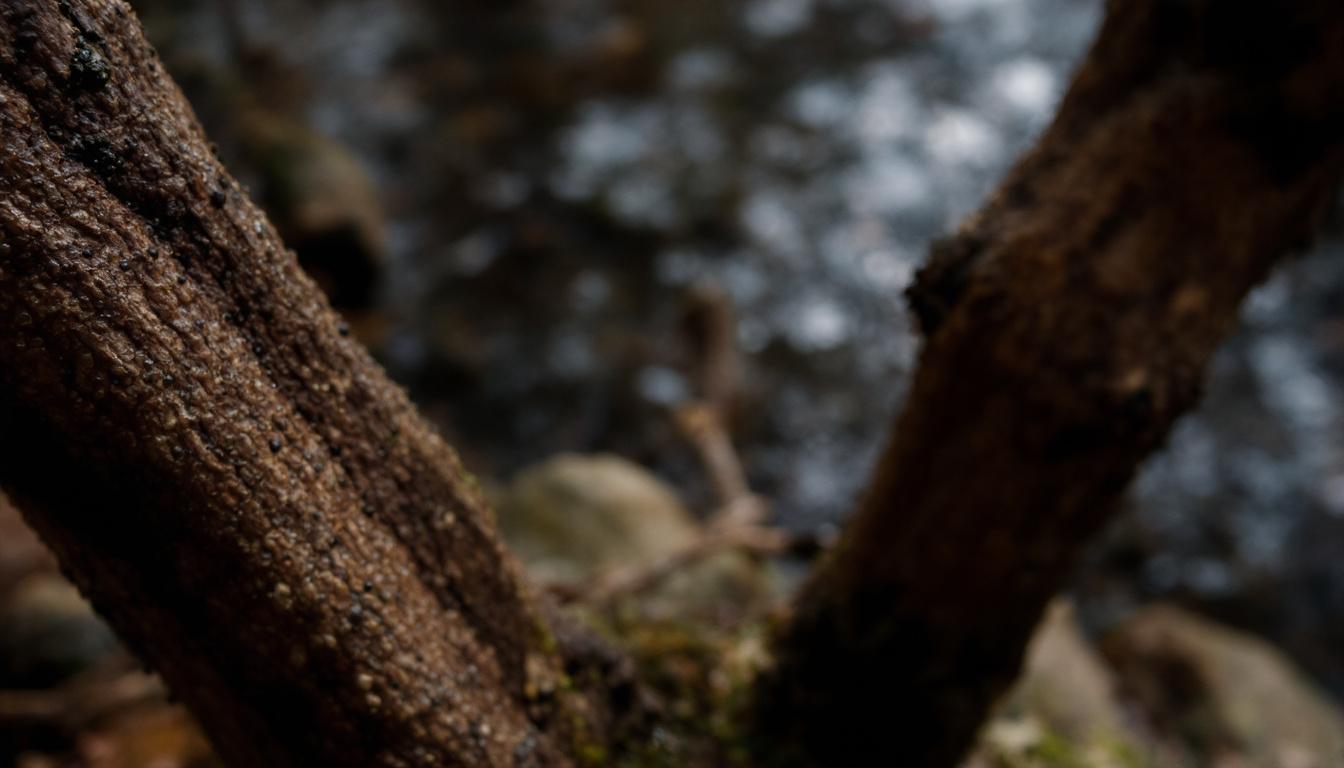 découvrez notre guide complet pour choisir le logiciel de paie en ligne adapté à vos besoins, simplifiant la gestion salariale de votre entreprise.