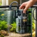 apprenez à installer une pompe dans votre aquarium étape par étape et découvrez nos conseils pour garantir une filtration optimale, assurant un environnement sain pour vos poissons.