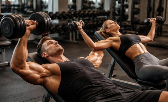 découvrez les meilleurs exercices avec haltères pour muscler et sculpter vos pectoraux efficacement. améliorez la forme de votre torse grâce à des mouvements ciblés adaptés à tous les niveaux.